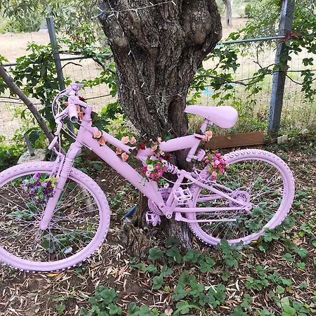 Appartement Koula 2 -mary *