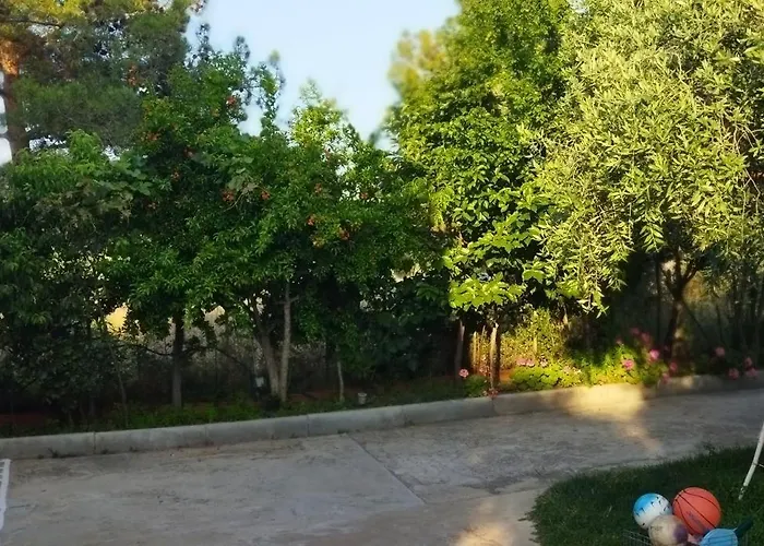 Koula 2 -mary Ποτός