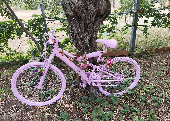 Διαμέρισμα Koula 2 -mary *